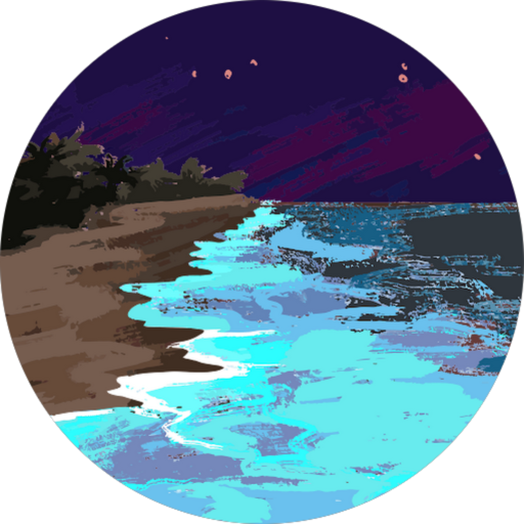 Review - Diana Melchiorre - Off Market Investors